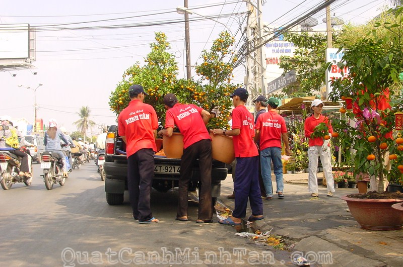 Vườn ươm